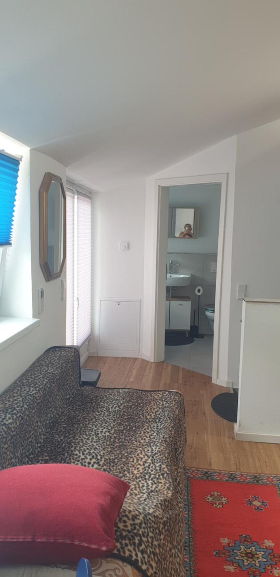 3 Seperate Apartments - 1,5 Room Apt - 2,5 Rooms Apt - 3,5 Rooms Apt Mit Sauna And Kamin Múnich Exterior foto